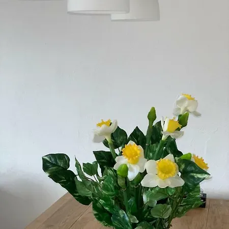 Appartamento Sanosueno 2 Sonthofen Esterno foto